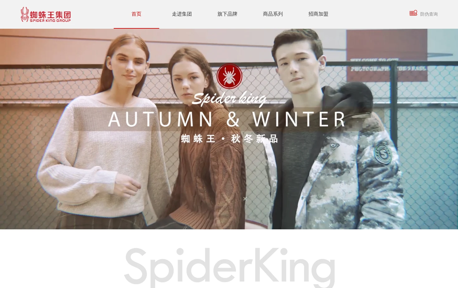 蜘蛛王集团 页面快照
